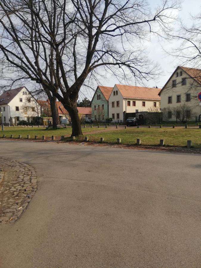 -am Alten Dorfplatz- Dresda